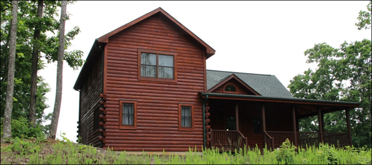 Professional Log Home Borate Application  Cobbs Creek, Virginia